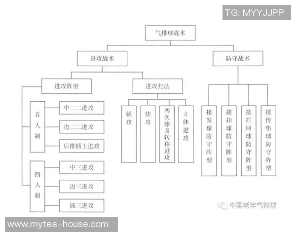 南京排球队在精英赛中的灵活性表现分析与战术探讨