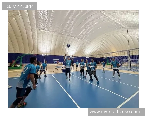 武汉排球队的崛起与奋斗精神探秘排球运动的魅力与力量